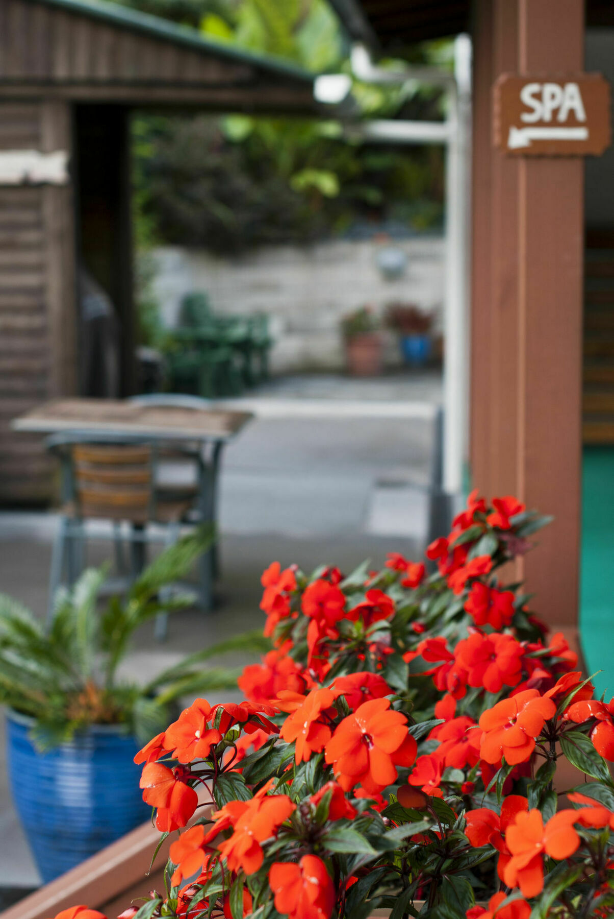Swiss Chalet Lodge Motel Пейхия Экстерьер фото